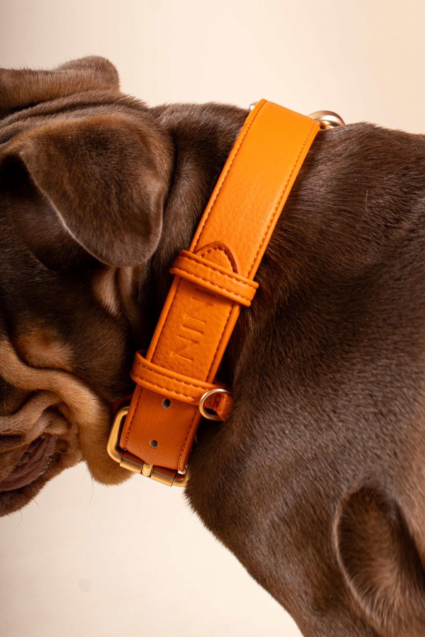 Collier Orange
