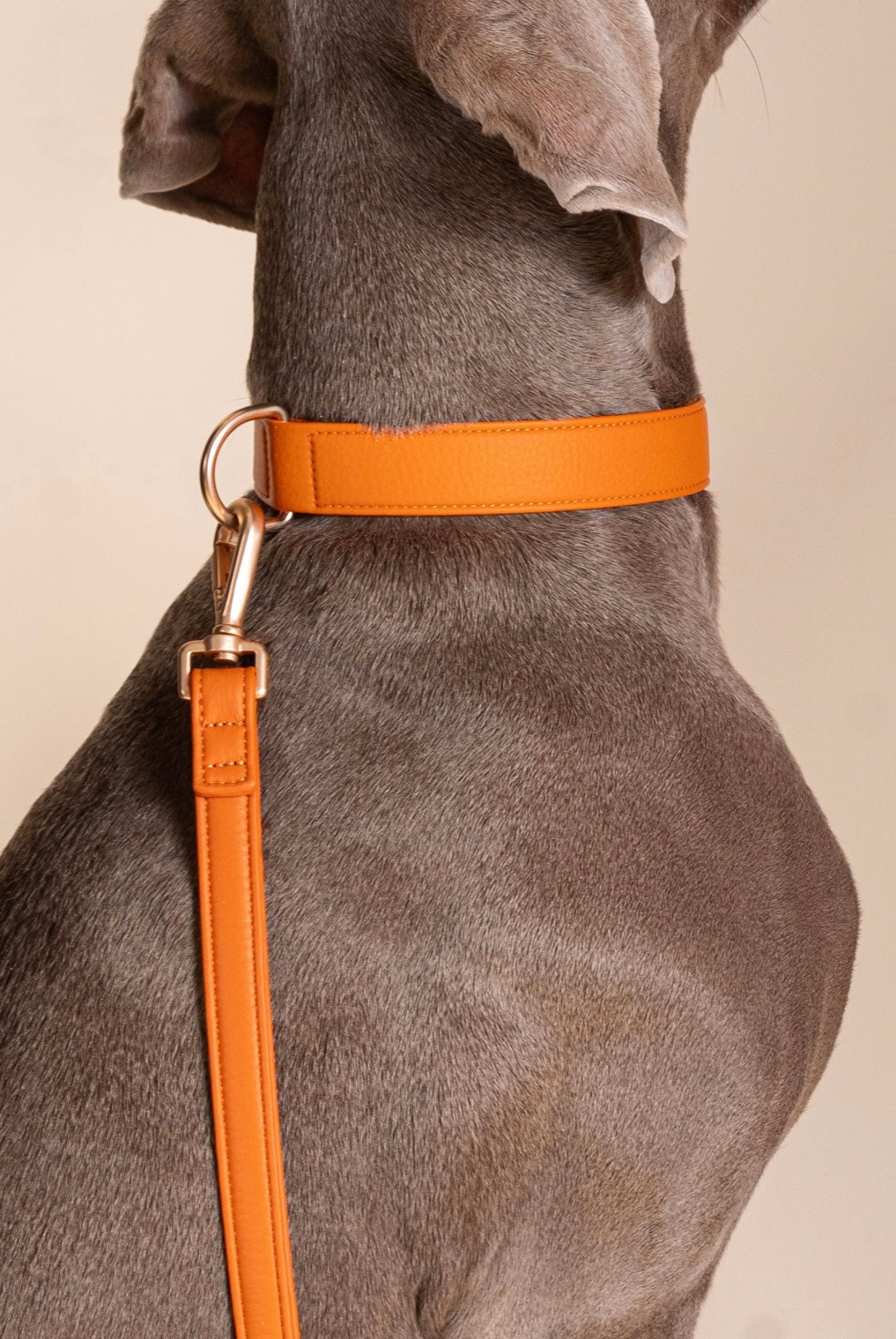 Collier Orange